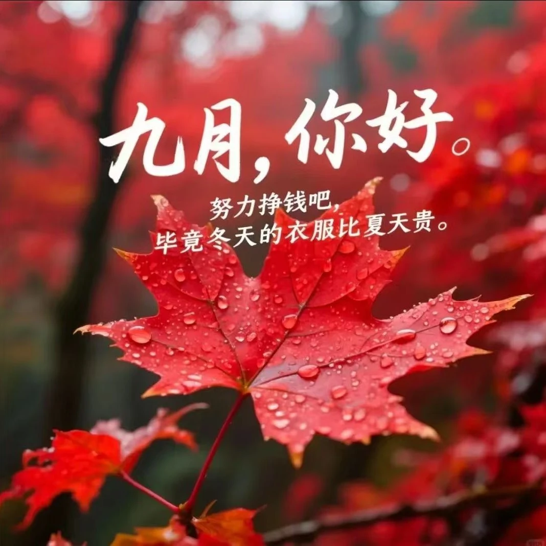 汪先生