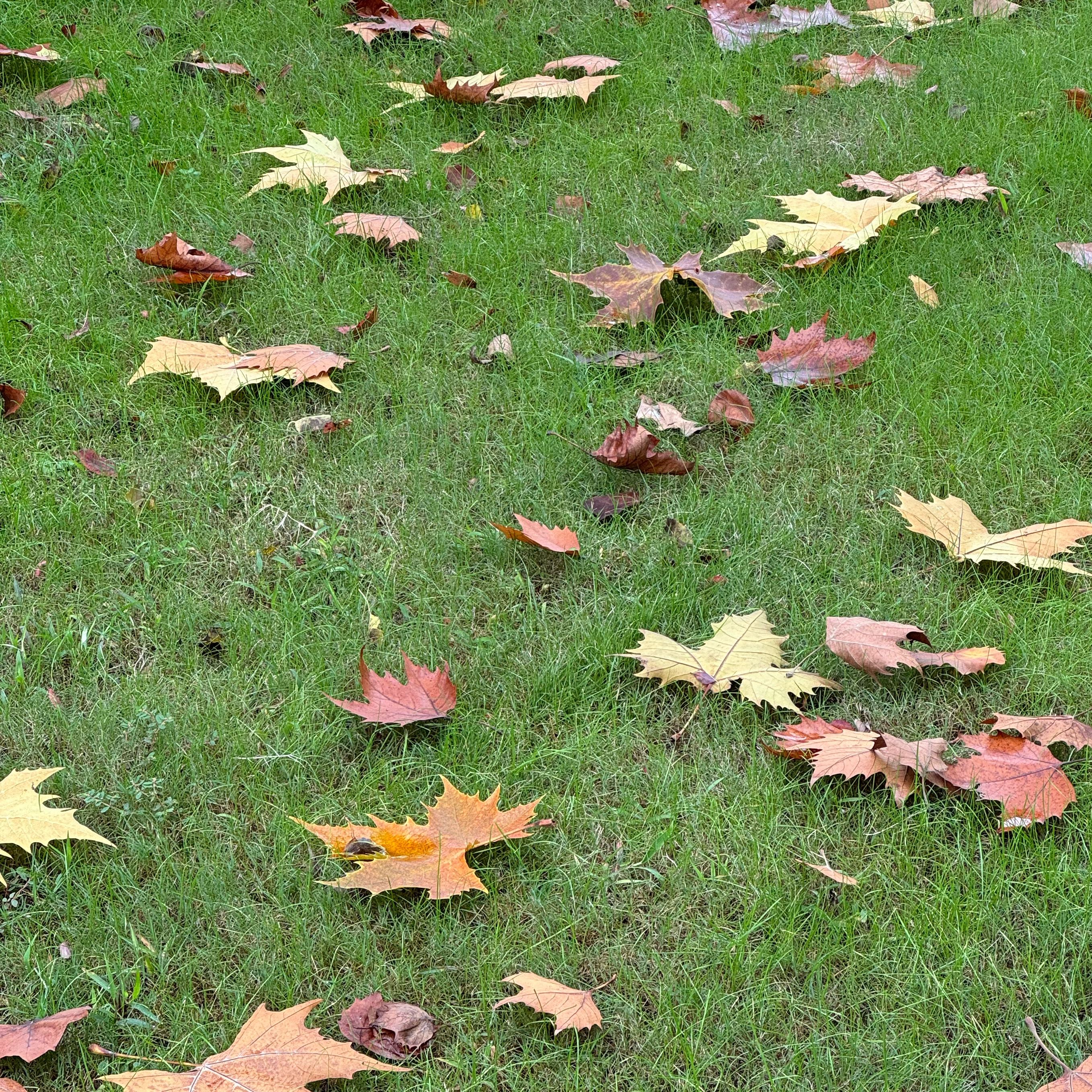 u客直谈实名认证李小妹