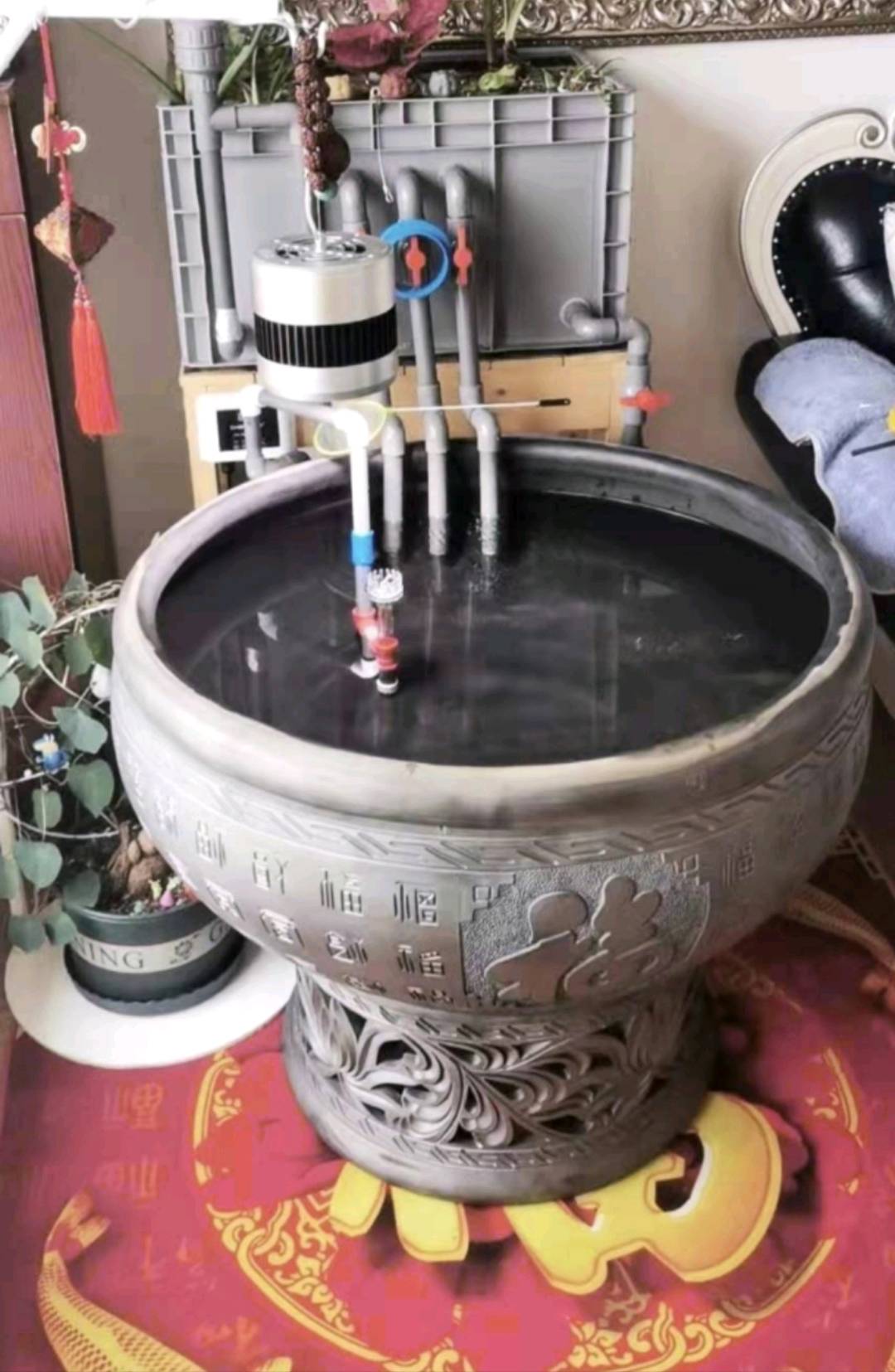 吴先生品牌货源