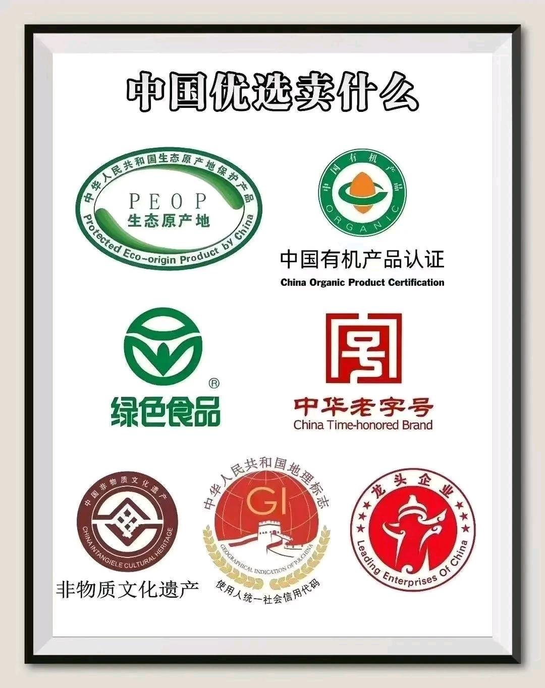 魏勇地推项目中国优选国企电商平台推广