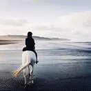李骅钊