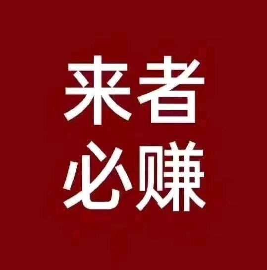 张先生新服  游戏搬砖  无门槛上车 * 日结收益