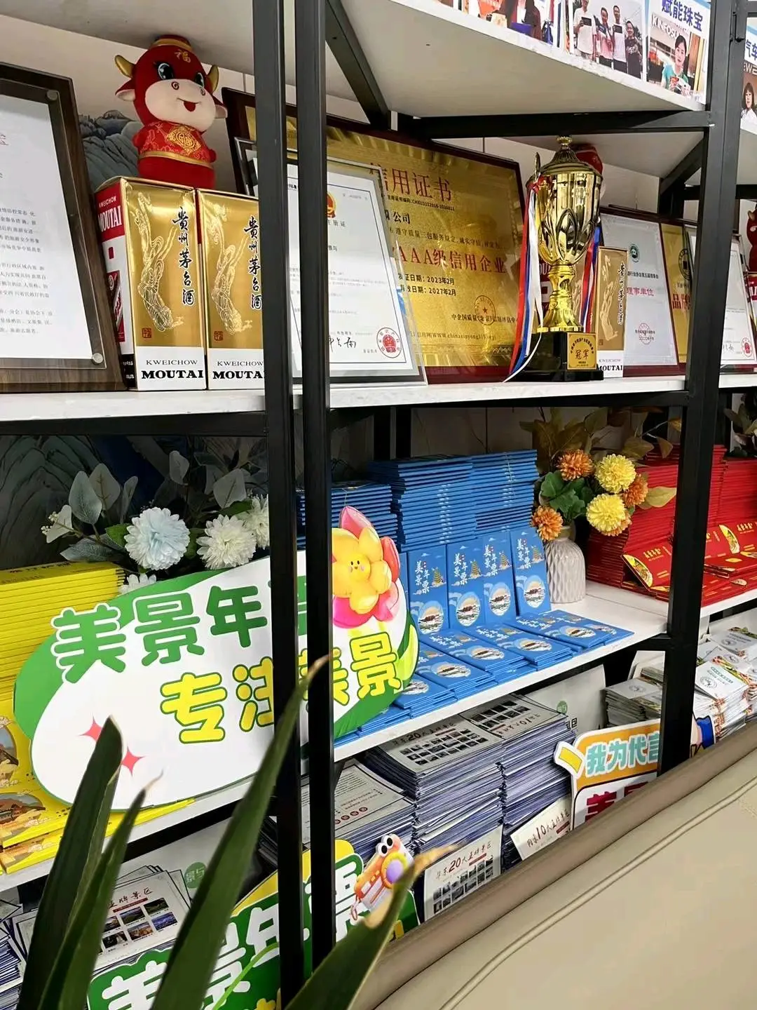 刘志建找合伙人美景年票项目,寻找企业资源合作赋能营销福利