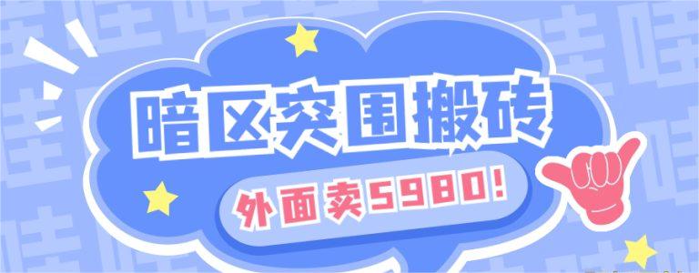 罗先生其他供需暗区突围项目，可落地实操，提供保姆级教程