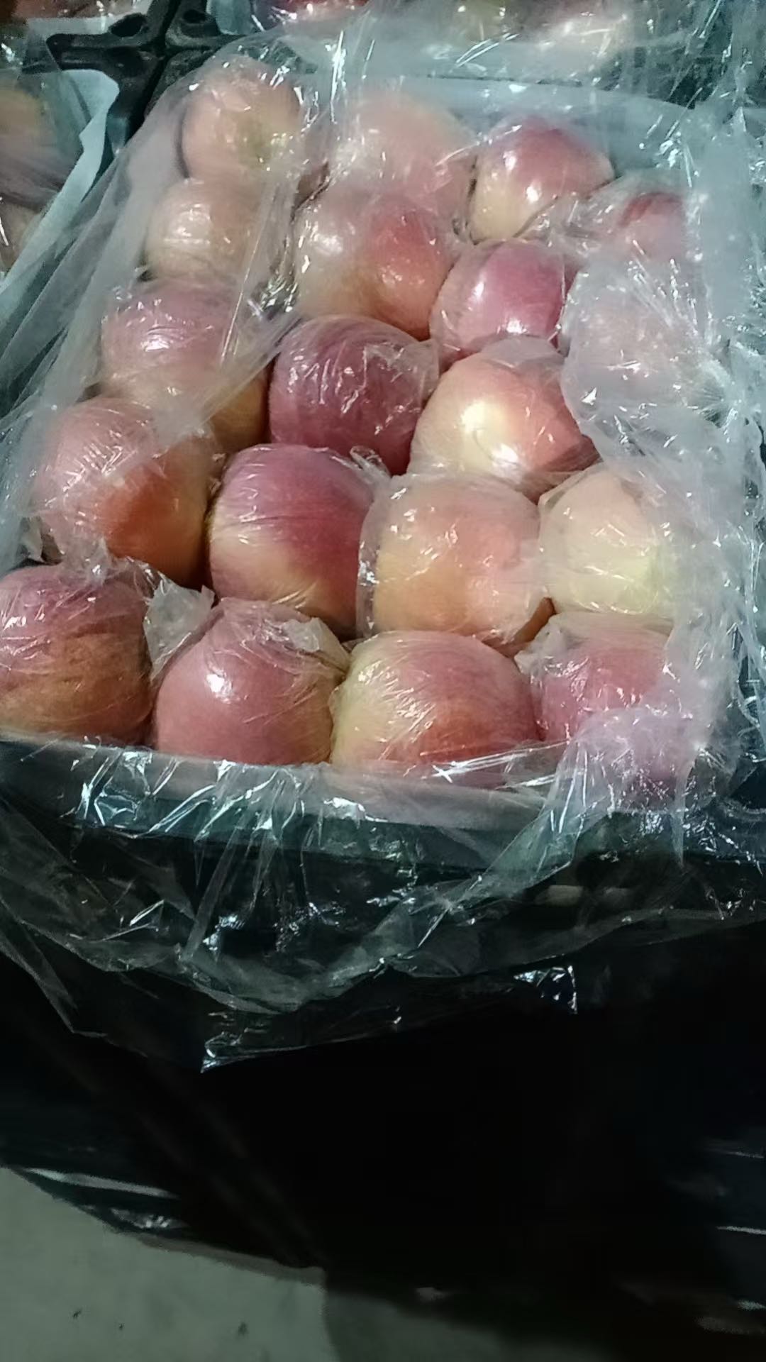 寇佳乐品牌货源农户水果 采购