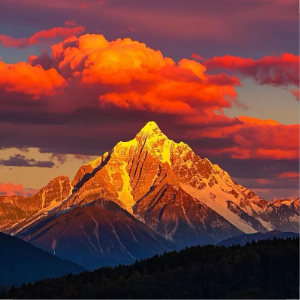 u客直谈实名认证王女士