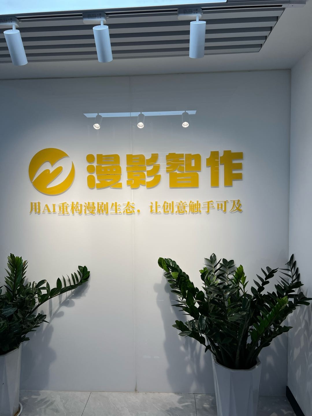 王先生找合伙人