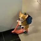 熊先生