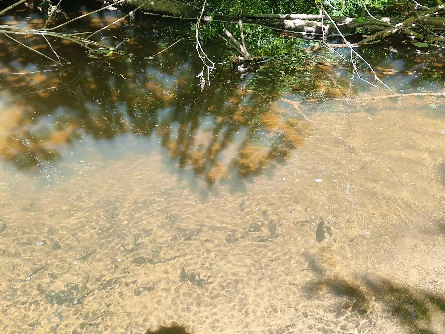 u客直谈实名认证梁德成