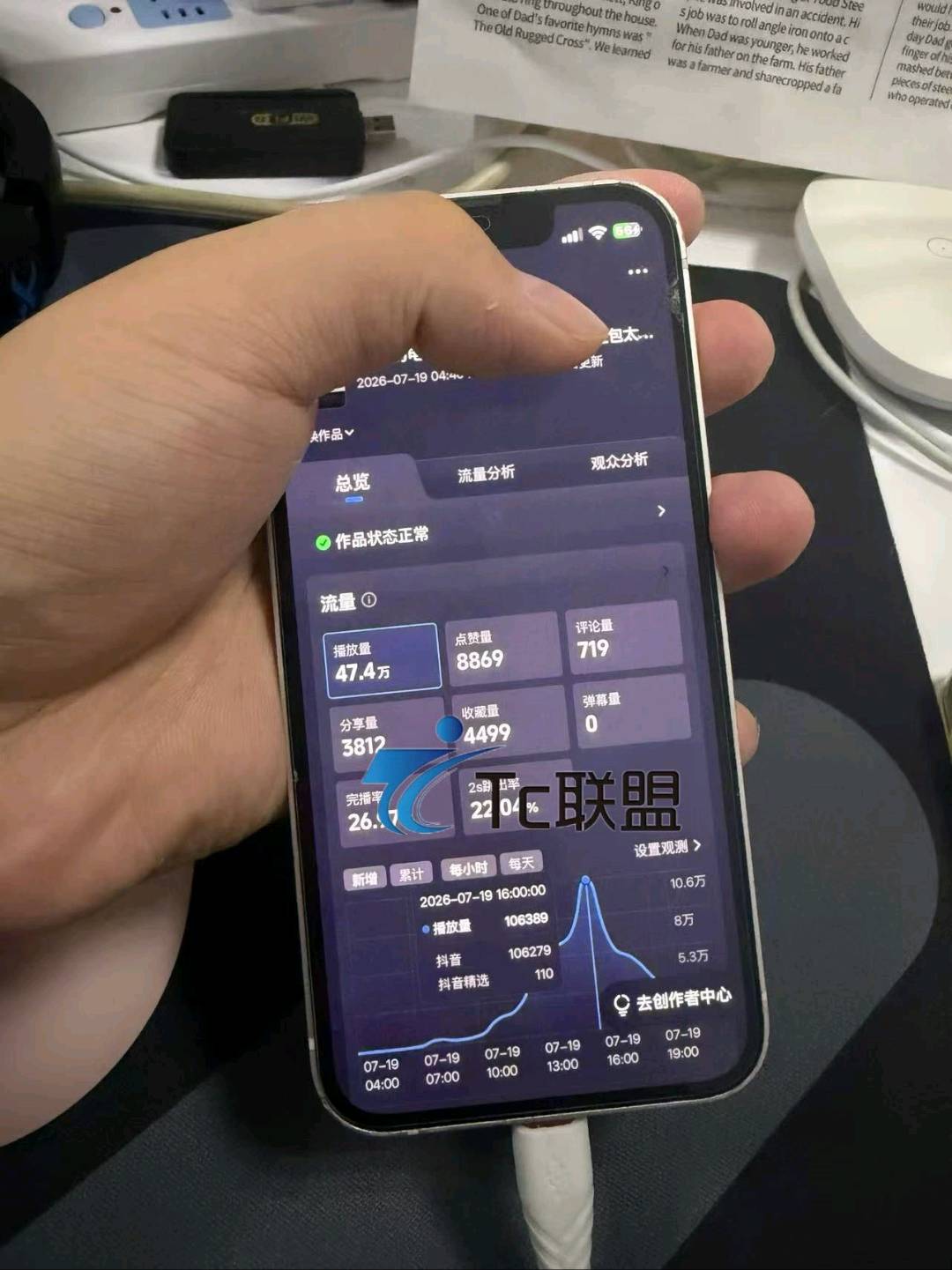史女士其他供需小说推文项目，一部手机就能开发