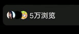 罗女士找合伙人