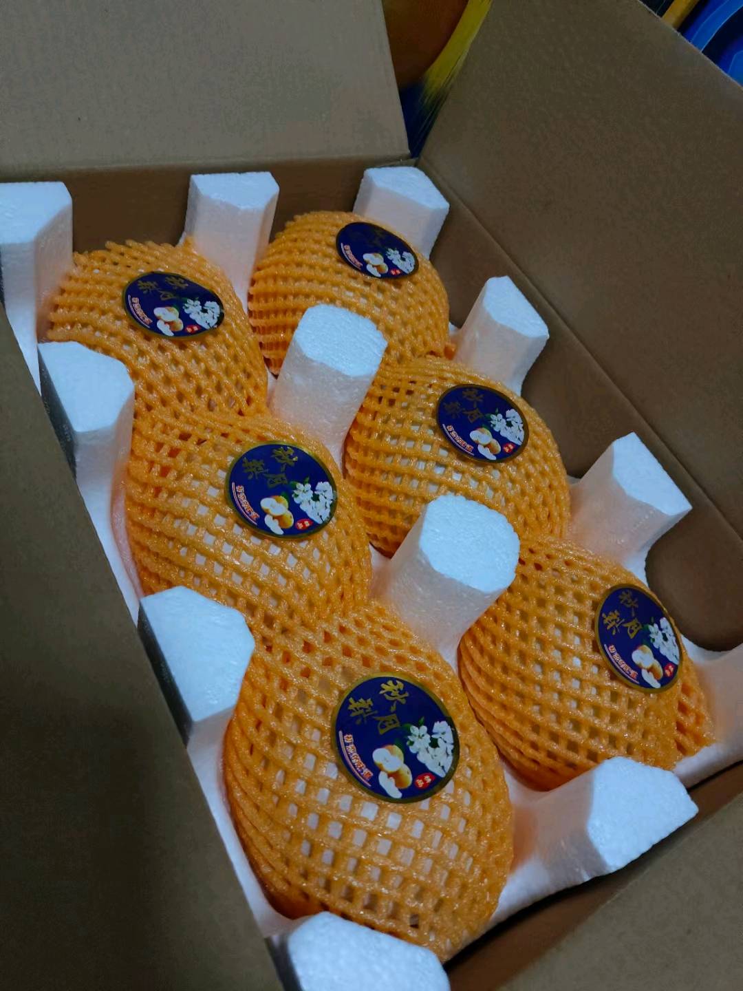 鞠先生地推项目