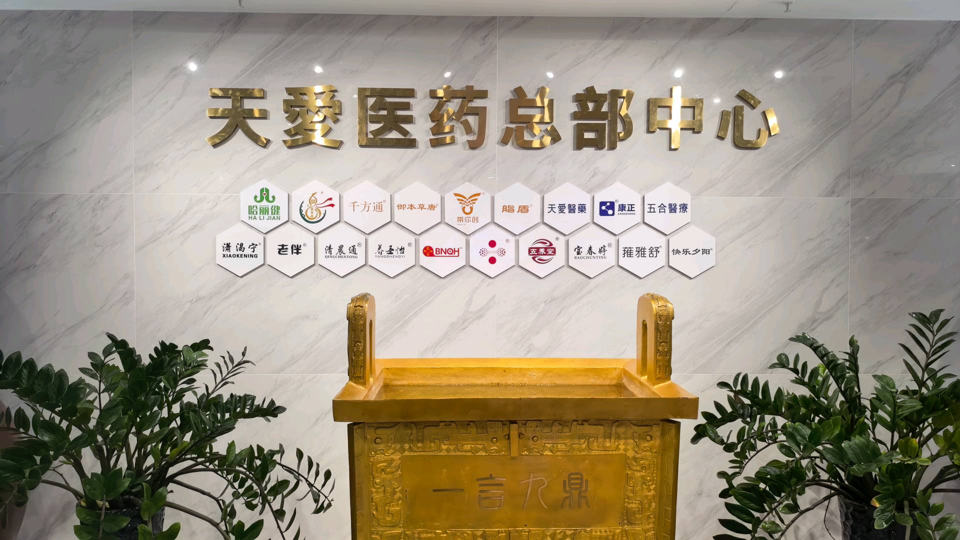 蒋祖杰其他供需脂盾品牌专卖店全国招商