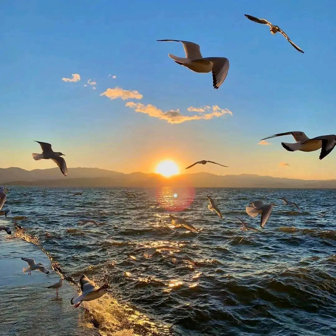 郭永巧