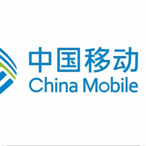 朱女士