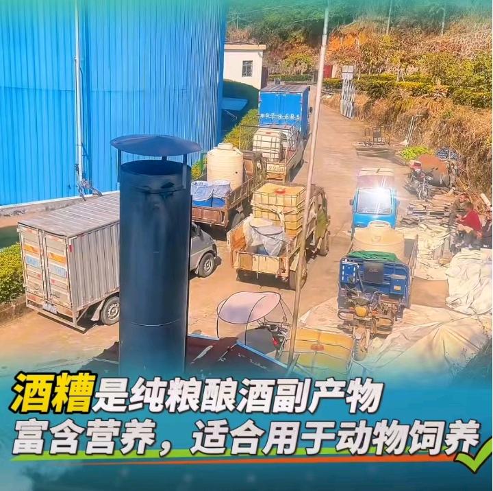 周灵品牌货源
