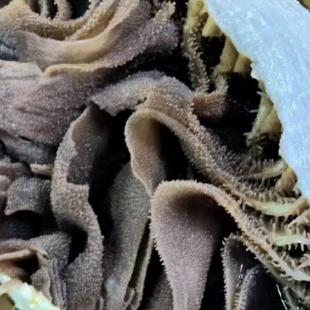 杨先生品牌货源大量提供牛百叶，牛肚