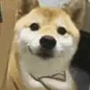 王先生