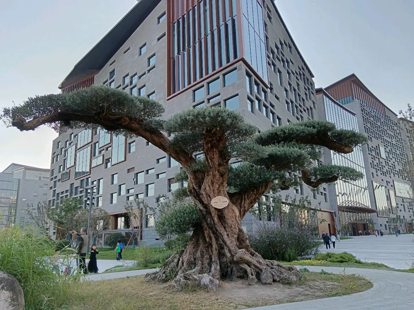 u客直谈实名认证林先生