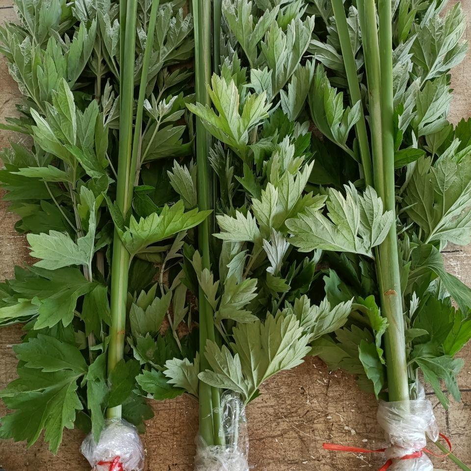 郝显东找合伙人