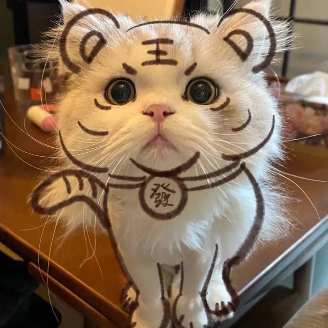 许先生