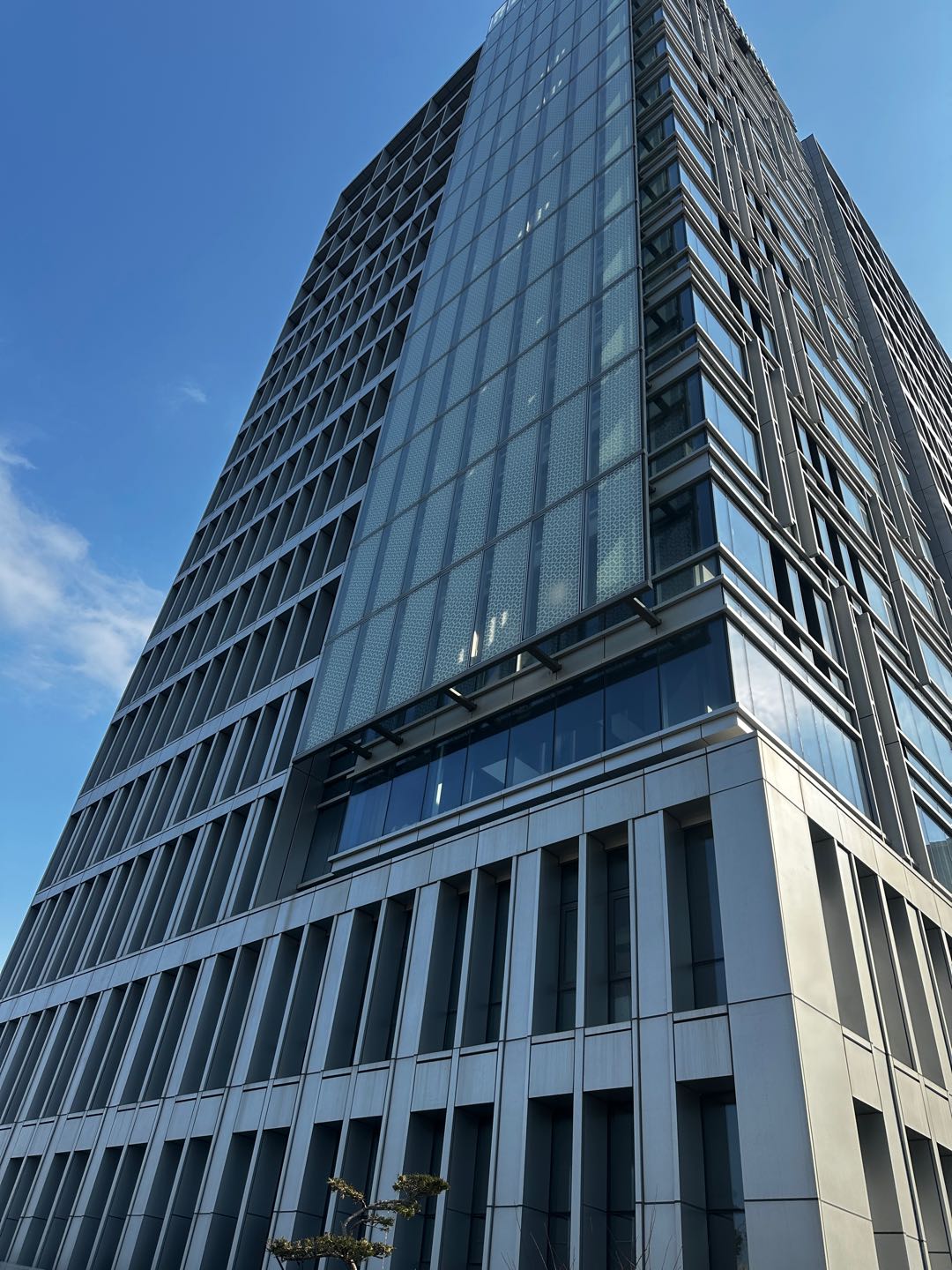 沙庆虎其他供需