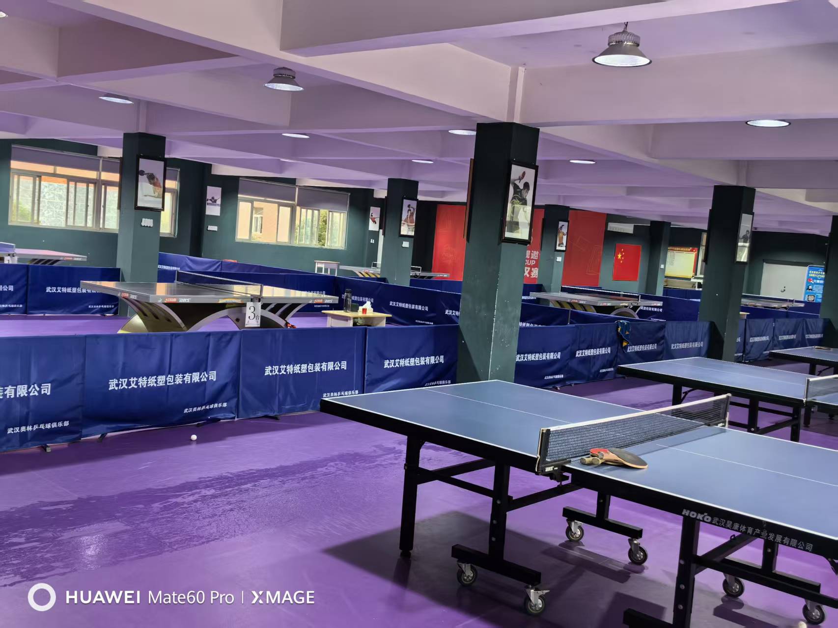 胡蝶场地活动乒乓球 赛事组织者