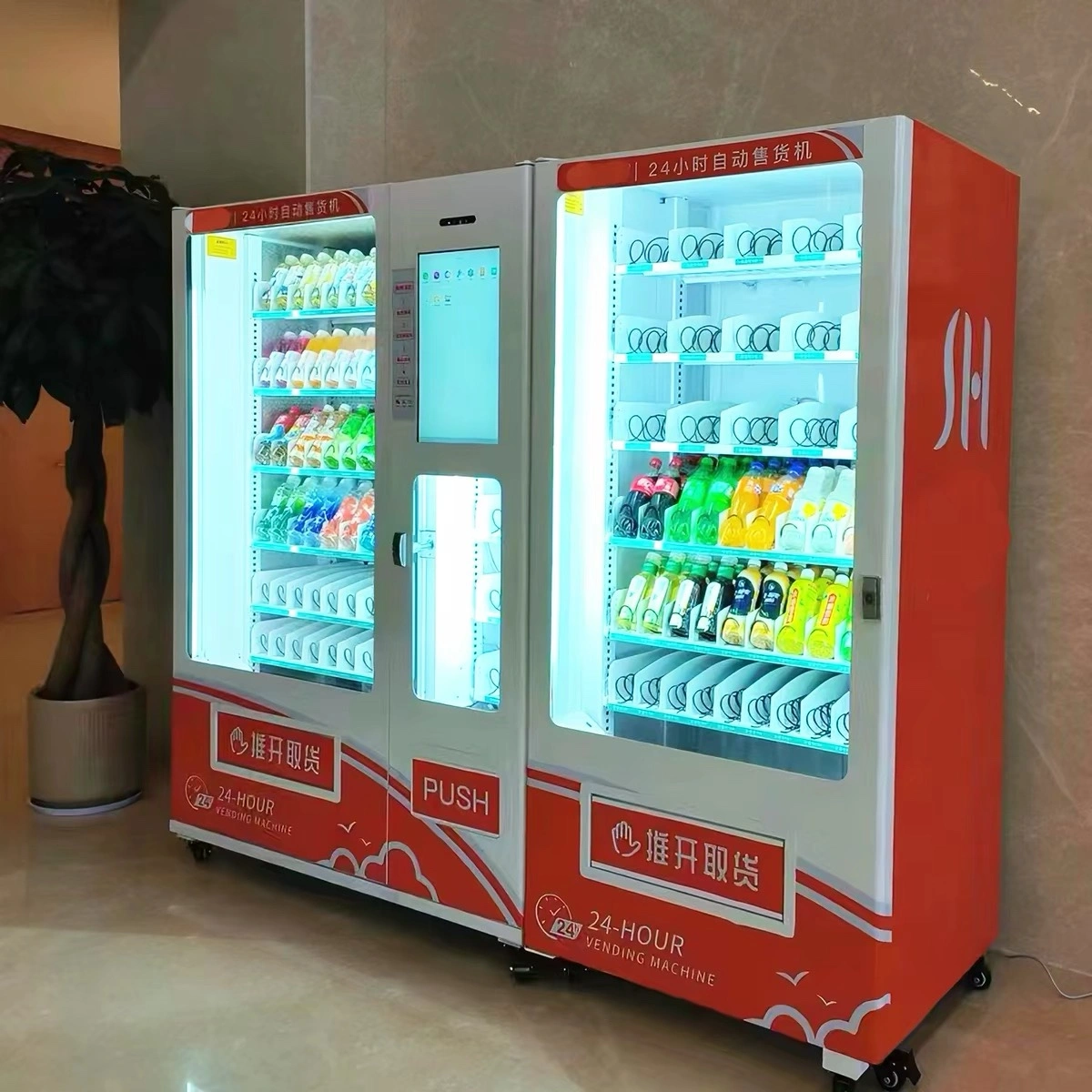 杨梅