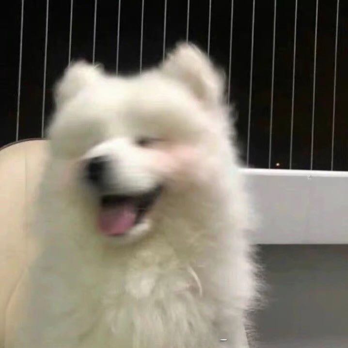 聂先生