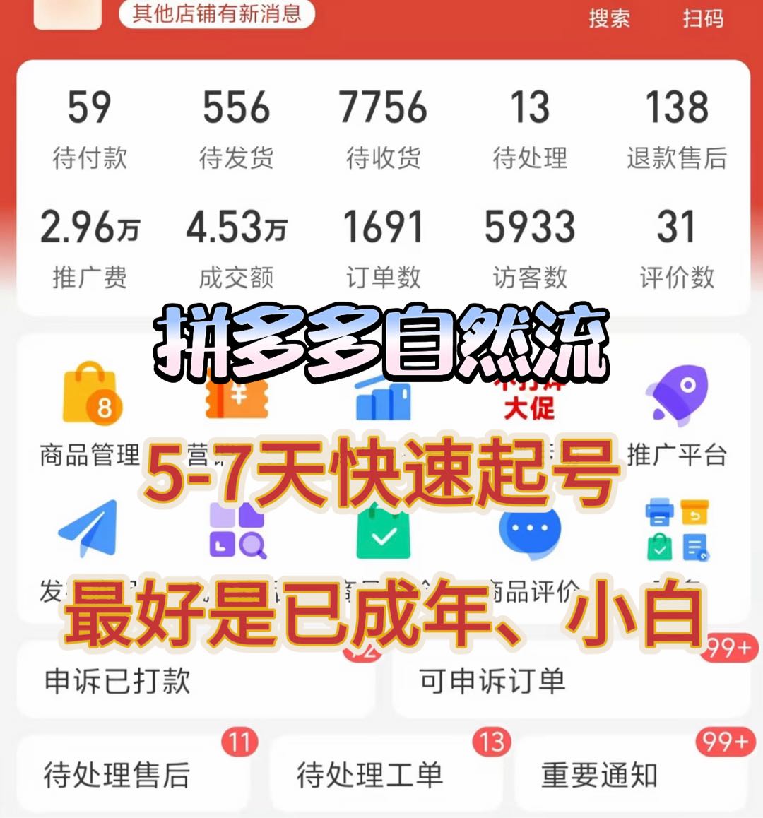 武先生找合伙人拼多多免费开店带教，0基础手把手起店