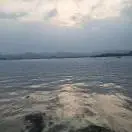 袁飞