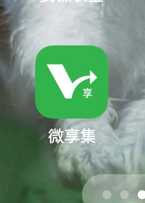 顾先生其他供需