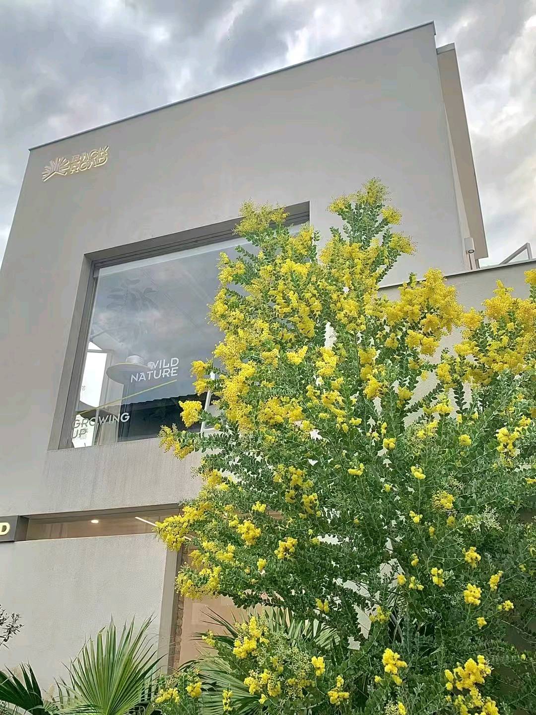 吐尼萨克孜·吐尔逊小说推文，绿色正规项目!*，复制粘贴，简单好上手!