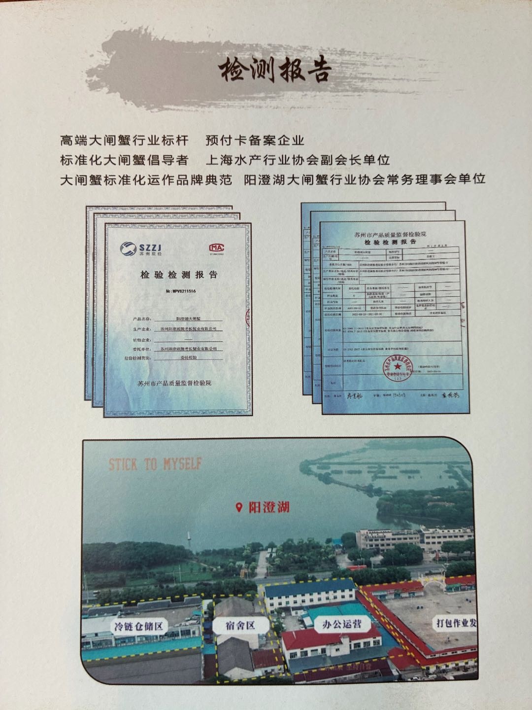 舒文军品牌货源阳澄湖大闸蟹寻找合作商