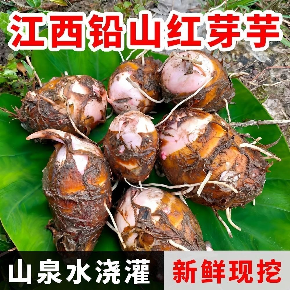 余良成品牌货源