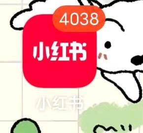 王女士其他供需