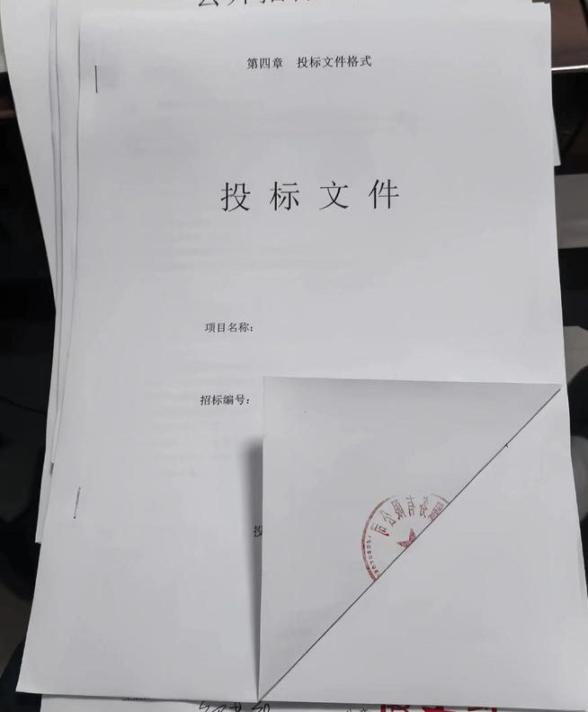 季光相乙方信息标书个人代做，代检查，收费合理，有需要的私聊吧