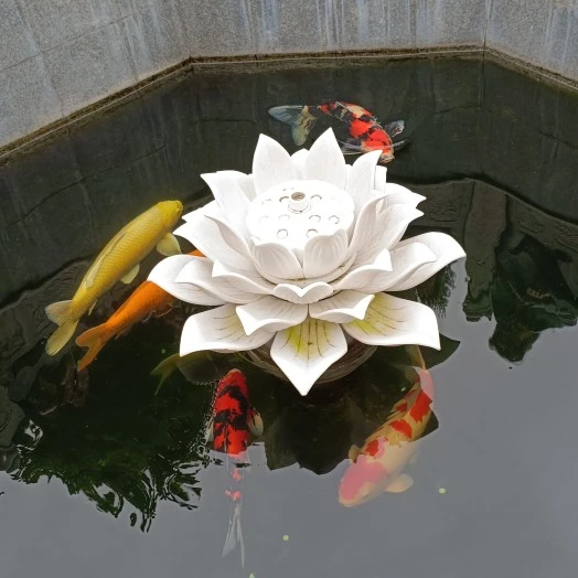 范先生