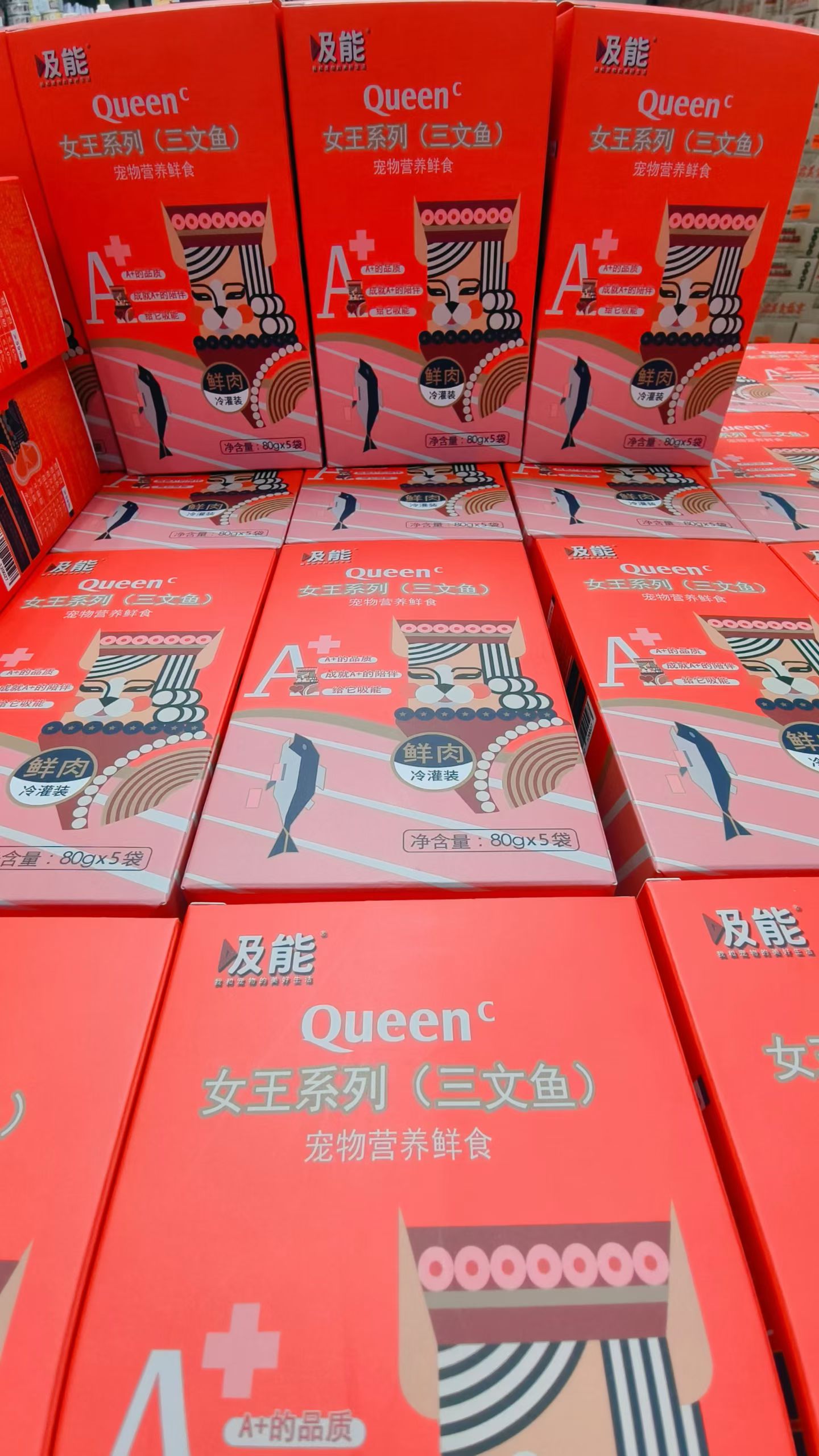 齐泽旭寻找地区代理合作，宠物食品吸能全价鲜食餐包新品上市，提供试用