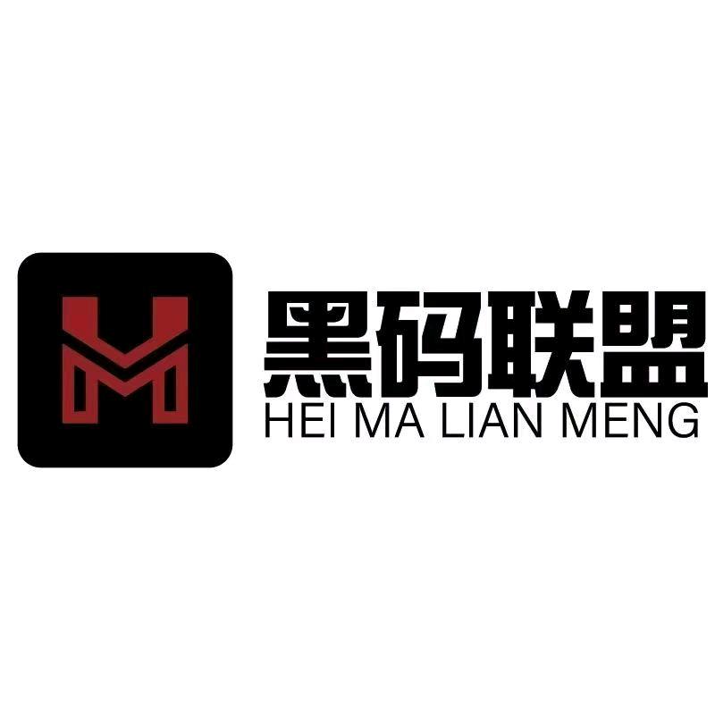 张先生地推项目