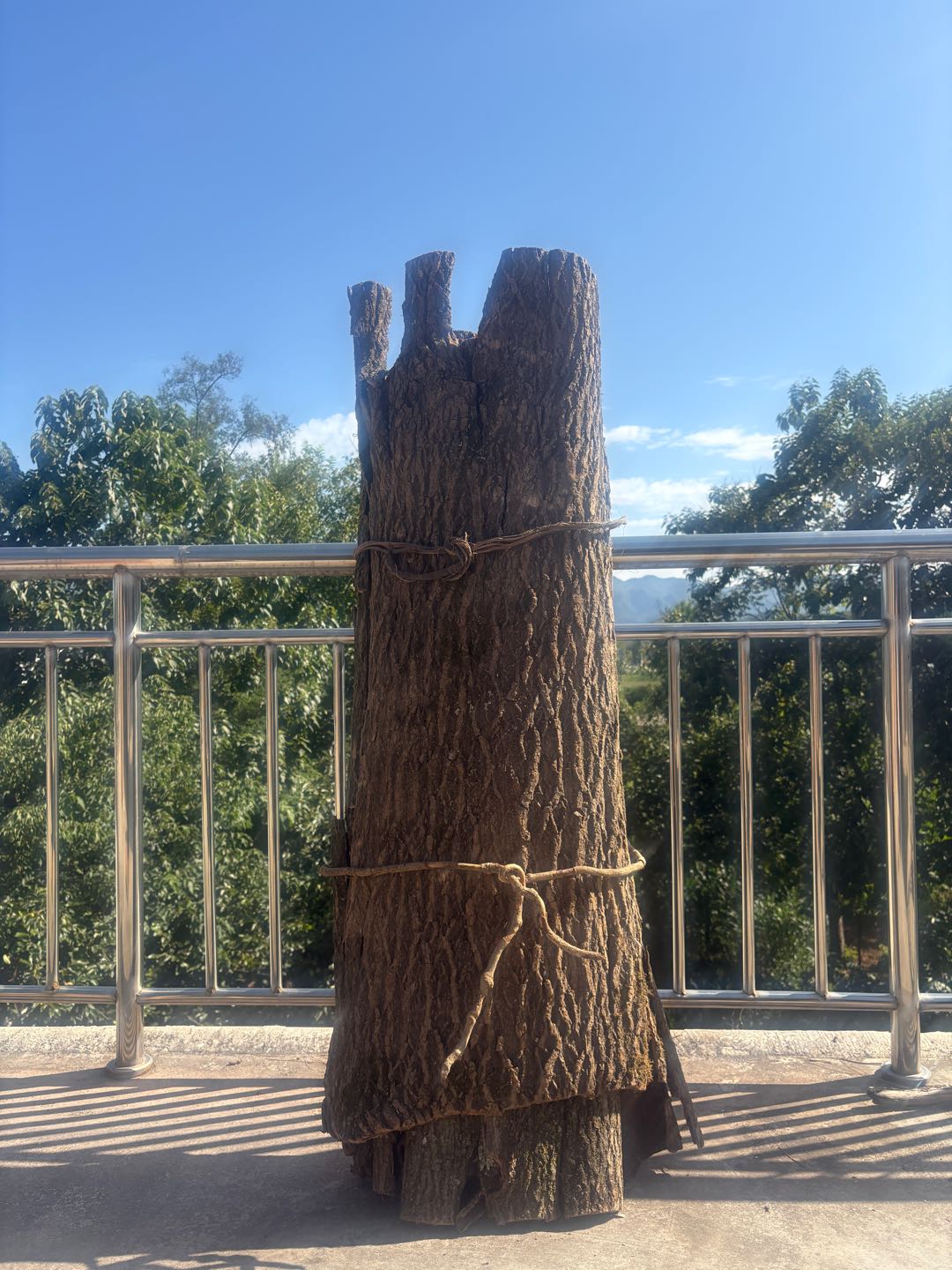 郭磊品牌货源甘肃道地野生小叶淫羊藿寻求合作