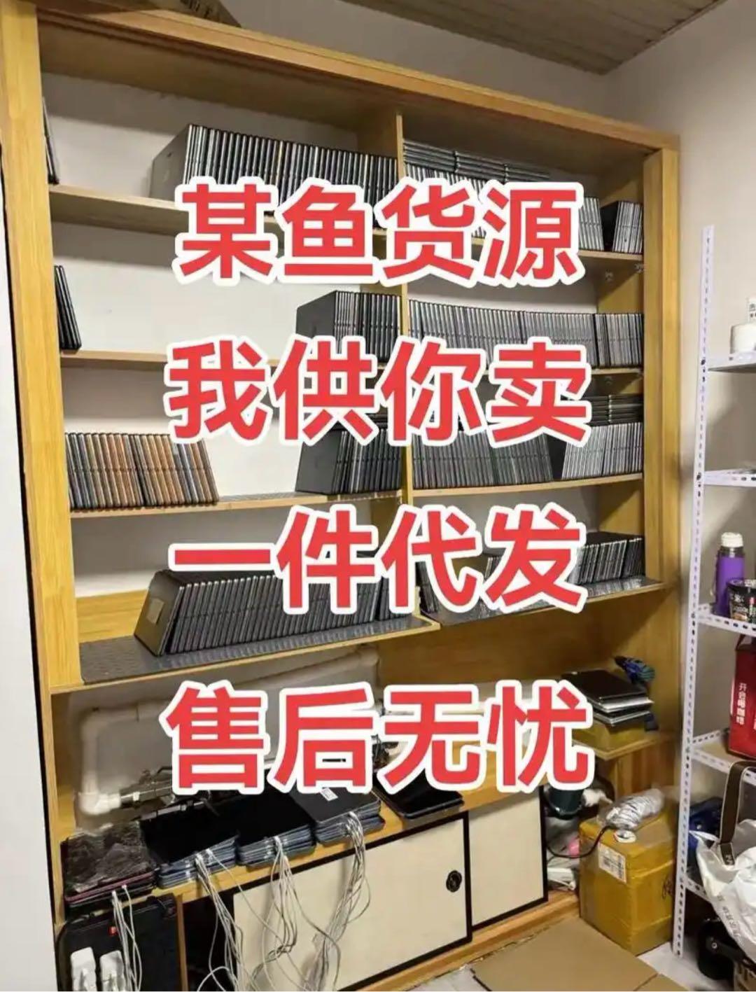 丁可欣其他供需咸鱼无货源电商