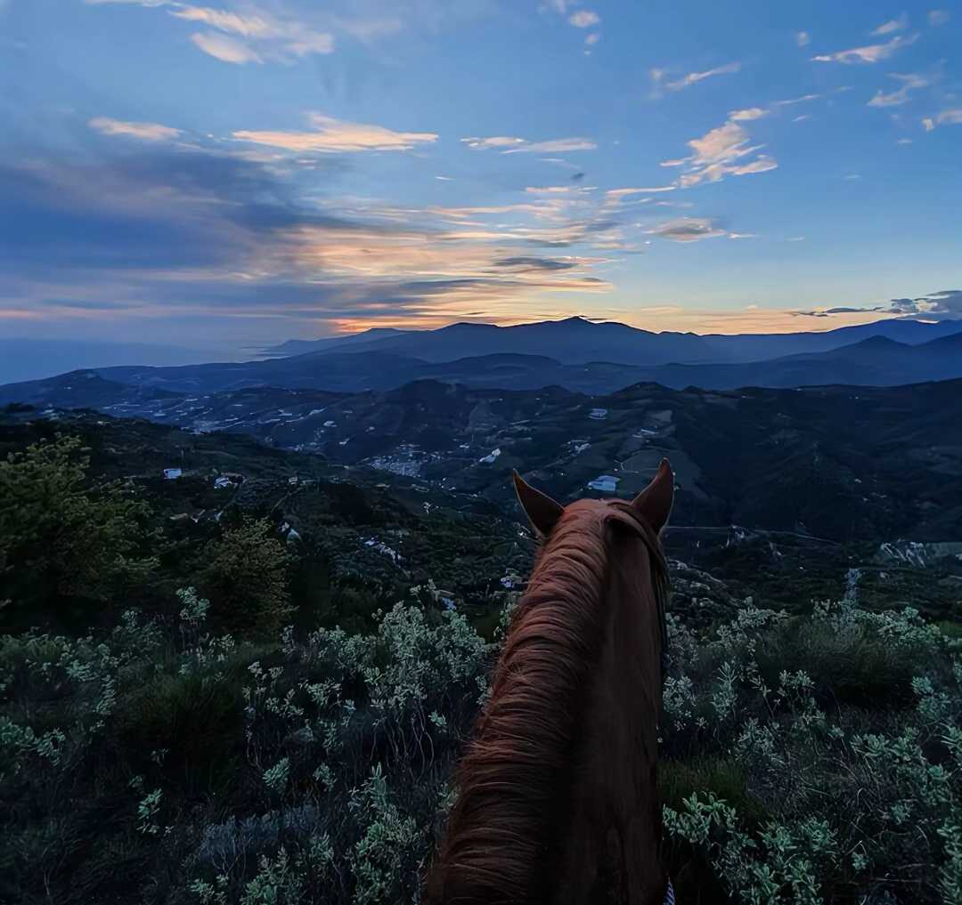 董先生找合伙人全自动游戏打米，可以先上车，日结200-800+，长期稳定（口嗨别来）