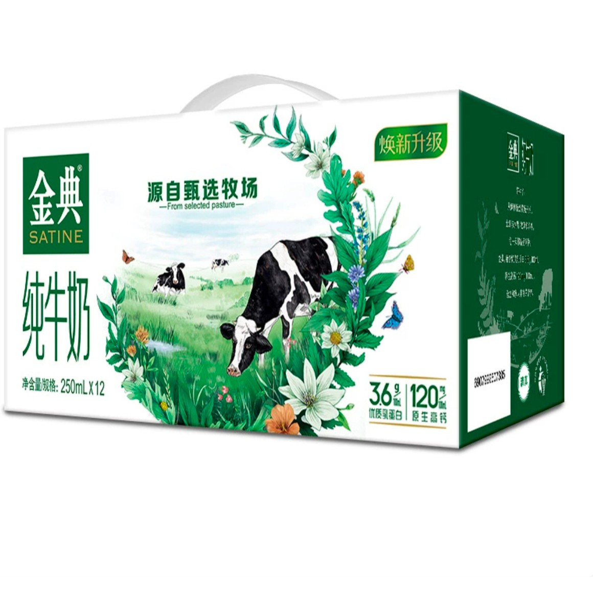 熊浩迪