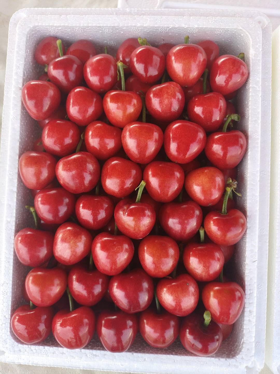 李先生品牌货源