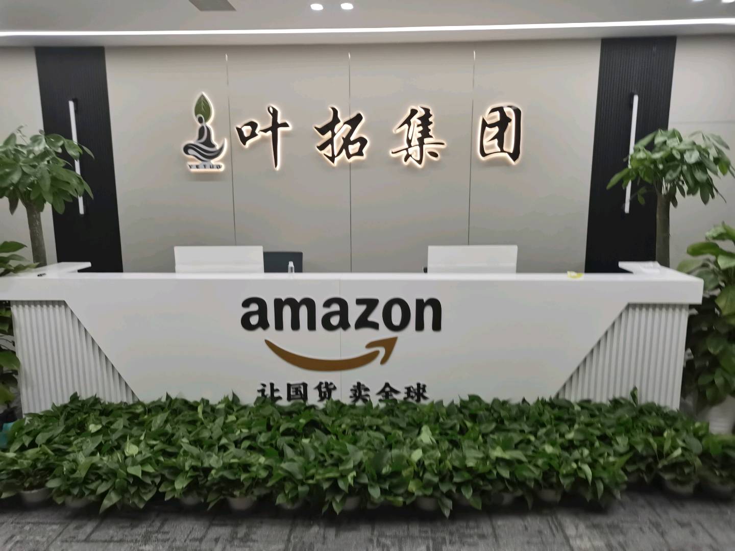 高振振其他供需亚马逊跨境电商项目诚寻合作，免费教学，共创长期发展