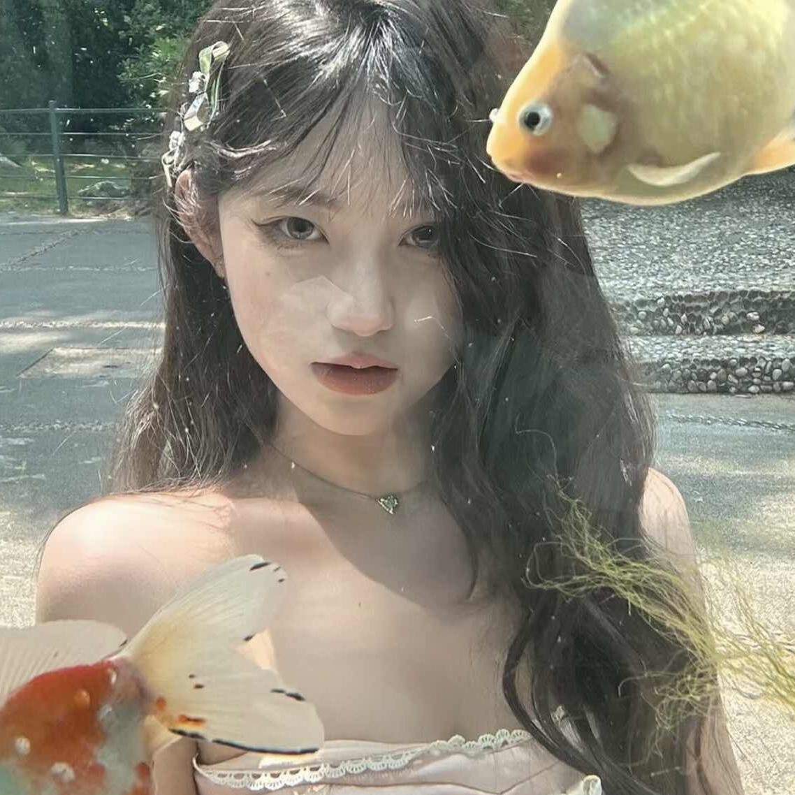 杨慧琳