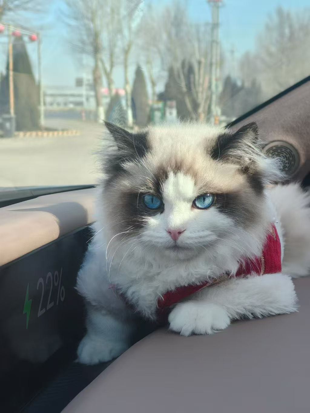 李先生其他供需ai情感倾听师 支持实地 连麦考察
个人  工作室均可  支持同行沟通