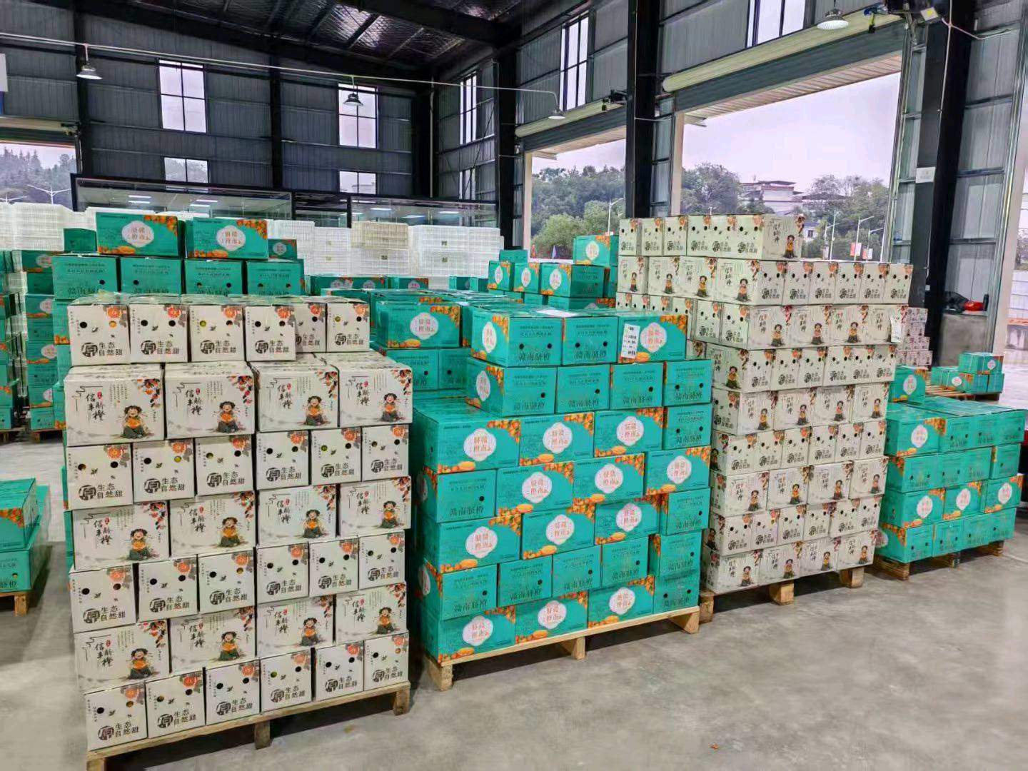 李超赣南脐橙代理 