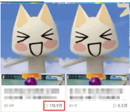 陈女士其他供需